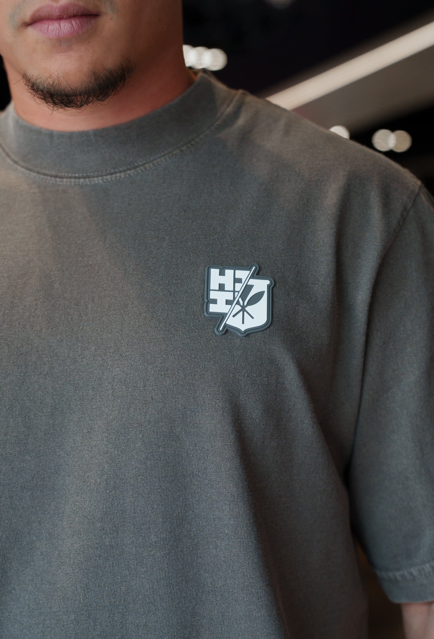 Gray Split Logo Oversized T-Shirt