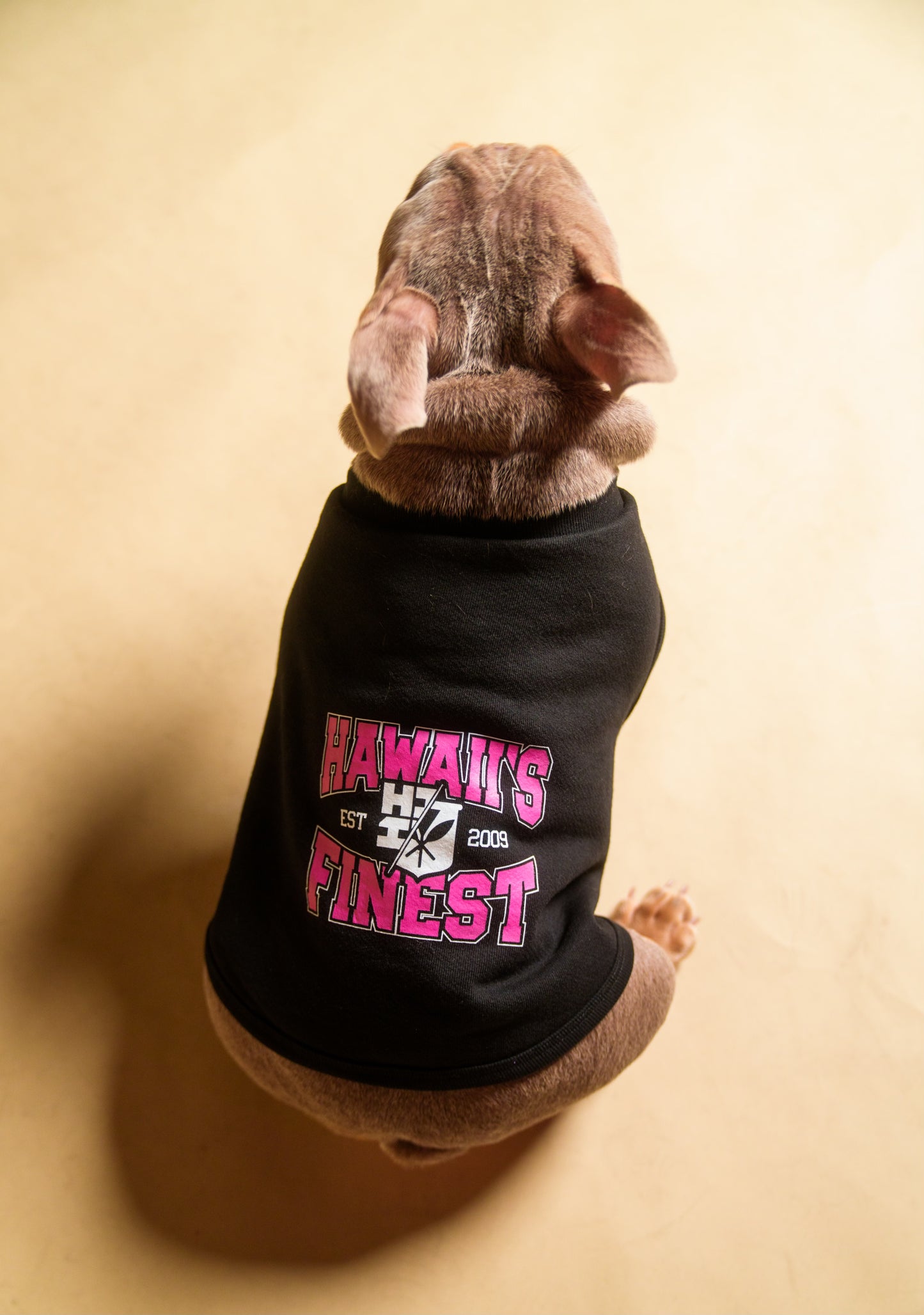 Pink Hawaiis Finest Dog Vest