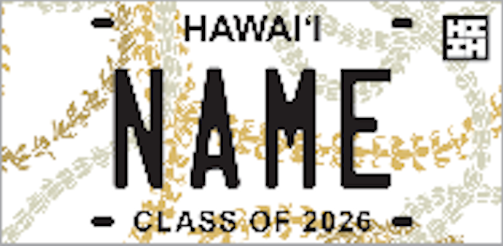 License Plates & Chains