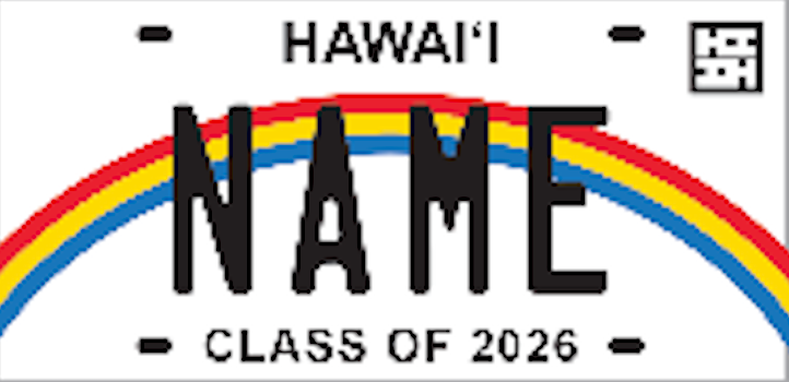 License Plates & Chains