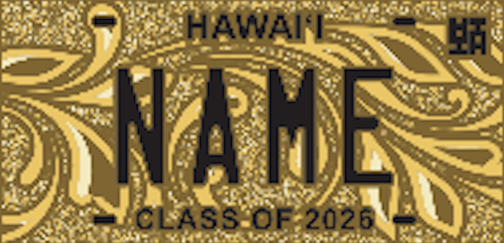 License Plates & Chains