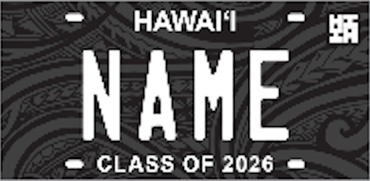 License Plates & Chains