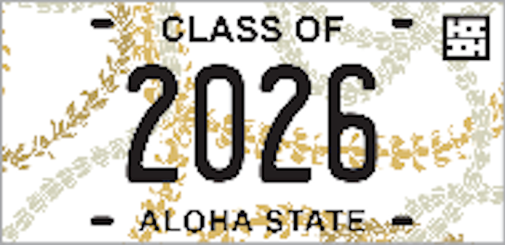 License Plates & Chains