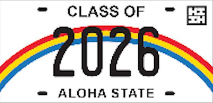 License Plates & Chains