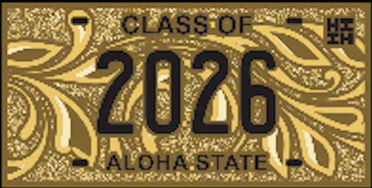 License Plates & Chains